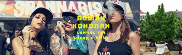 PSILOCYBIN Медвежьегорск