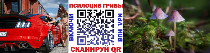 Псилоцибиновые грибы GOLDEN TEACHER  гидра маркетплейс  Усть-Илимск 